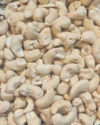 Processed Cashew Nuts