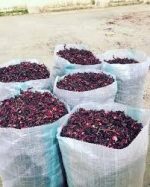 Dried Hibiscus Flower